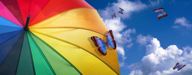 Un parapluie aux couleurs de l'arc-en-ciel avec un papillon dessus