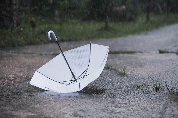 Parapluie blanc sous la pluie