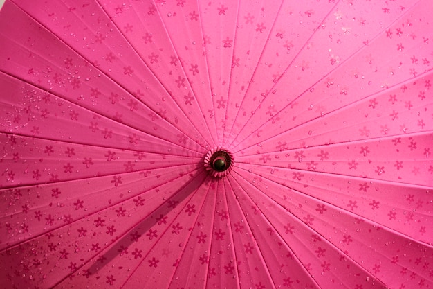 Parapluie japonais avec motif sakura.