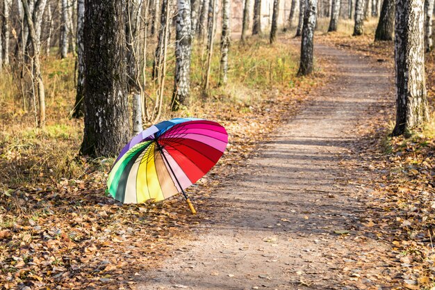 Le parapluie multicolore repose sur les feuilles d'automne