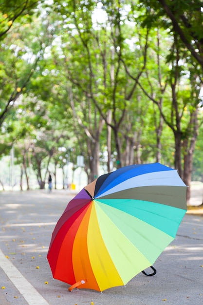 Parapluie multicolore sur le trottoir.