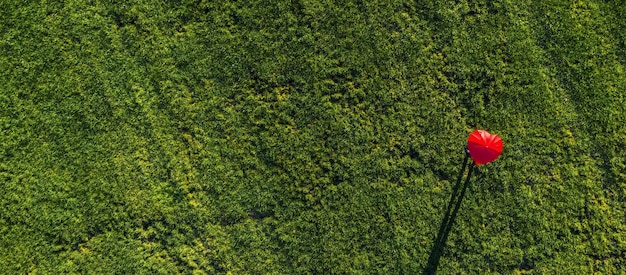 Parapluie rouge en forme de coeur sur une verte prairie d'été - tir de drone aérien