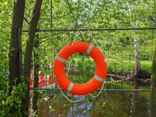 Un parapluie rouge suspendu à un poteau de bois dans la forêt