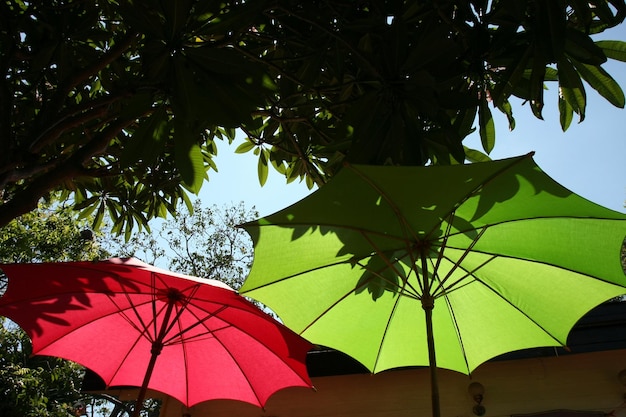 Un parapluie vert et rouge est sous un arbre et le soleil brille.