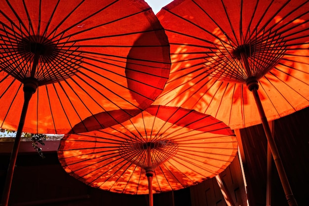 Parapluies chinois rouges vue vers le bas