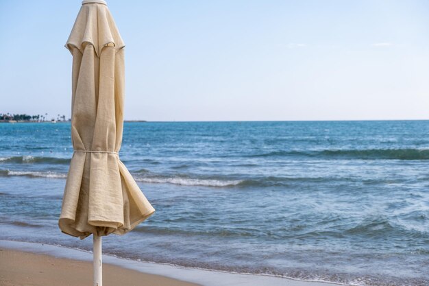 Parasols et chaises longues à l'état monté sur la plage