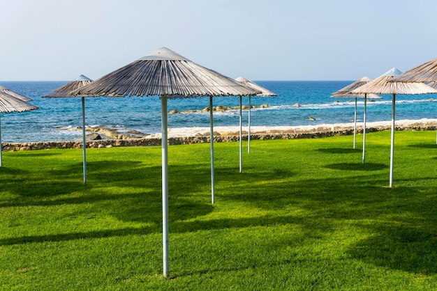 Parasols de plage sur la pelouse avec vue sur la mer