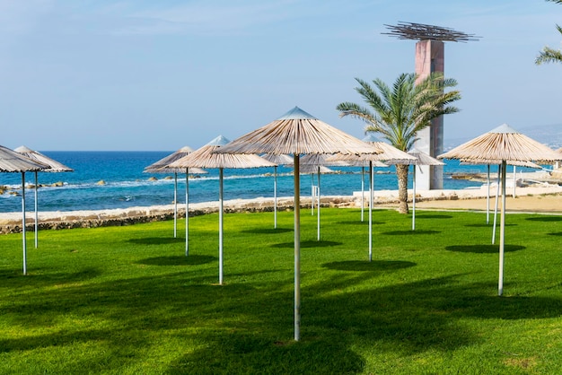 Parasols de plage sur la pelouse avec vue sur la mer