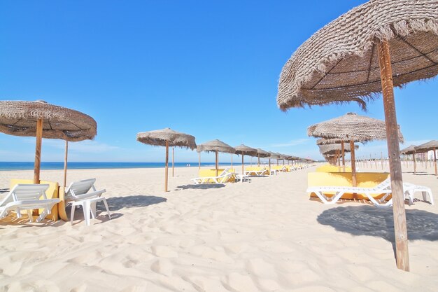 Parasols Sur La Plage Près De La Mer. Pour Le Reste.