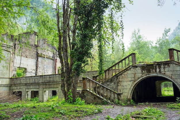 Parc abandonné près du lac Riza. Abkhazie.