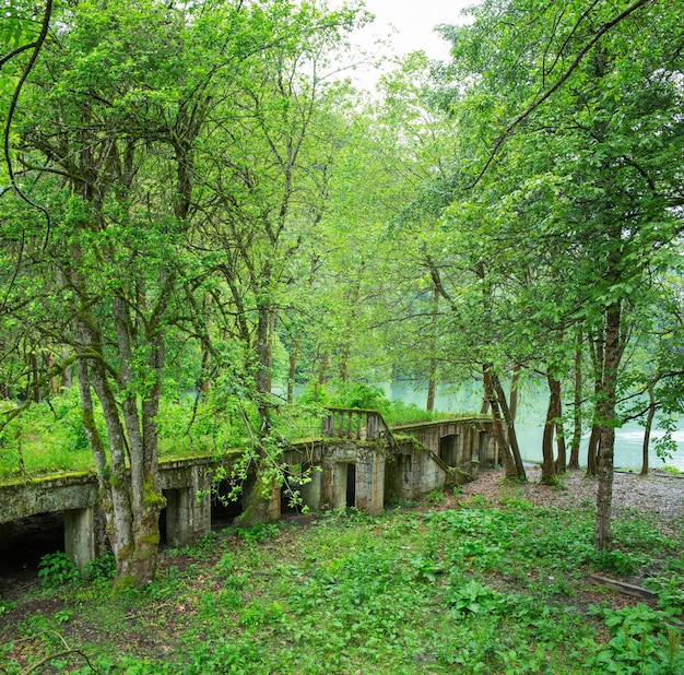 Parc abandonné près du lac Riza. Abkhazie.