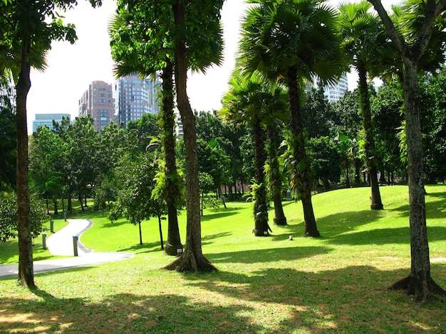 Le parc au centre de Kuala Lumpur Malaisie