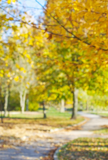 Parc en automne avec un beau feuillage d'automne