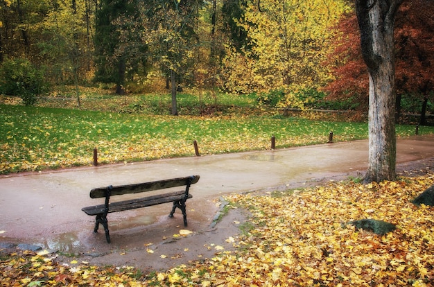 Parc d'automne. Composition de la nature.