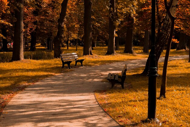 Parc d'automne par une journée ensoleillée