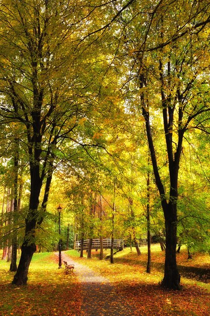 Parc d'automne pittoresque