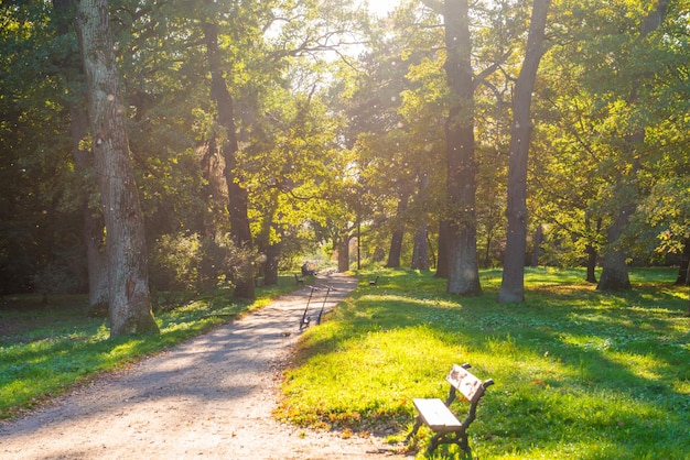 Parc d'automne et promeneurs