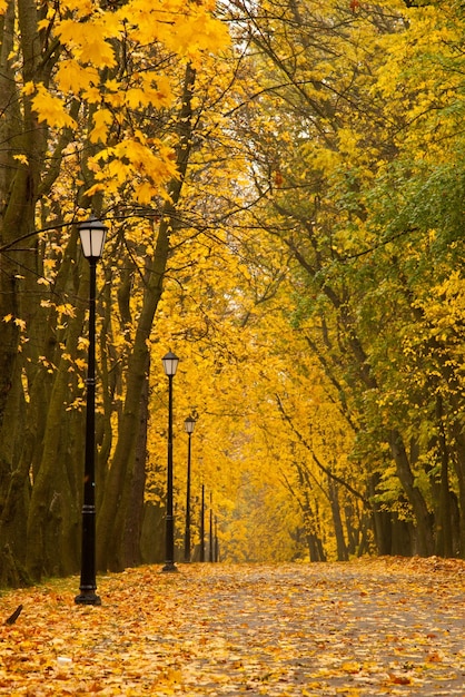 parc d&#39;automne