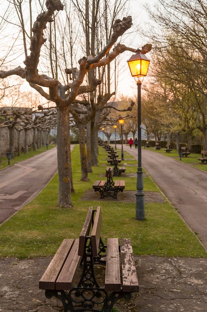 Parc avec bancs à la tombée de la nuit