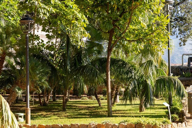 Un parc avec beaucoup d'arbres et un banc