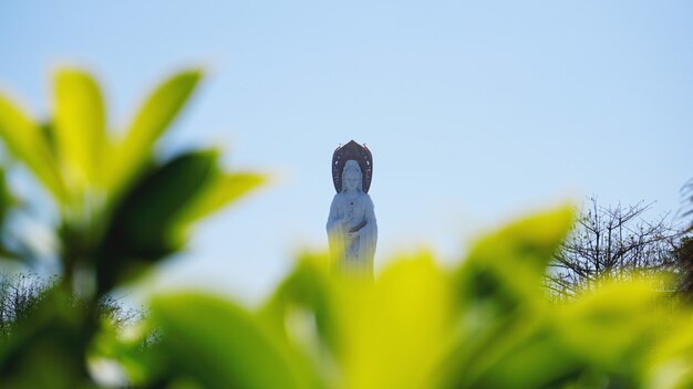 Parc bouddhiste, espace ouvert, nombreuses statues et beaux endroits sur l'île de Sanya. Centre de culture et de religion.