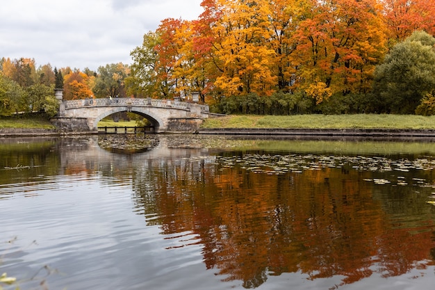 Parc dans le feuillage d'automne en soirée