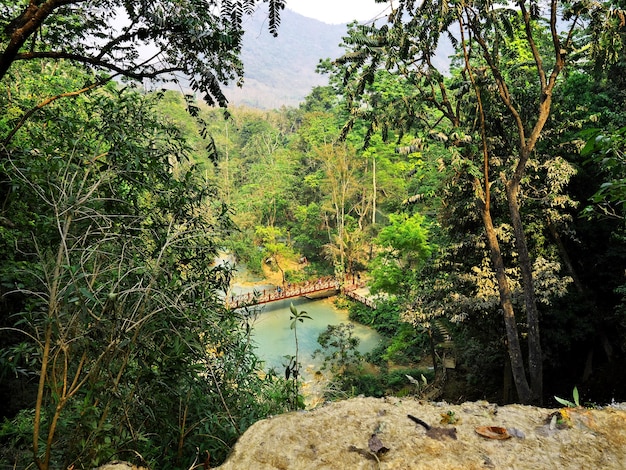 Le parc dans la jungle Laos