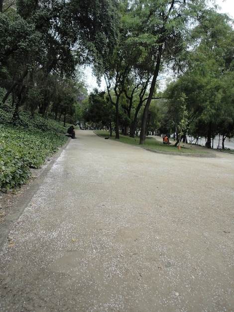 Parc dans la ville de Santiago du Chili