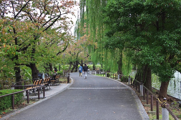 Le parc du centre-ville de Tokyo au Japon