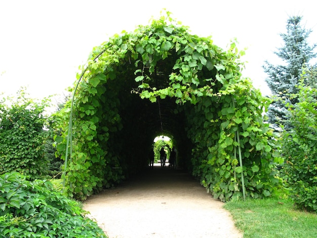 Le parc du palais de Rundale en Lettonie pays balte