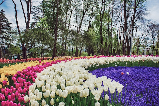 Parc Emirgan Istanbul