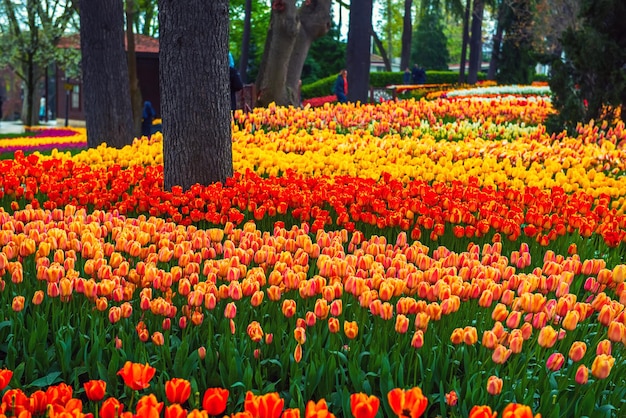 Parc Emirgan Istanbul