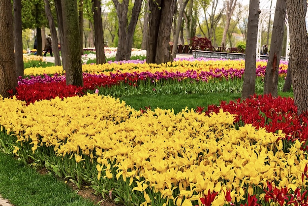 Parc Emirgan Istanbul