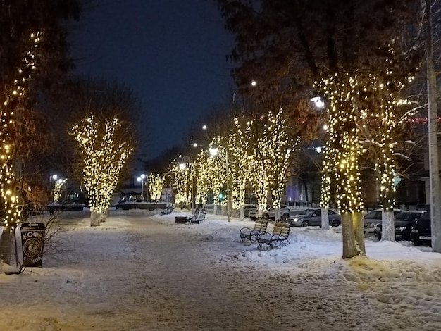 Un parc enneigé avec des lumières sur les arbres