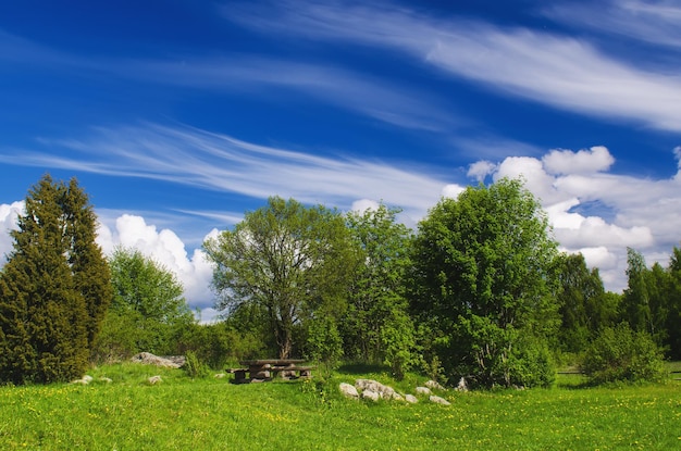 Parc ensoleillé avec lieu de repos