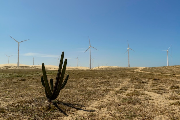 Parc éolien dans les dunes Sao Gonalo do Amarante État de Ceara Brésil