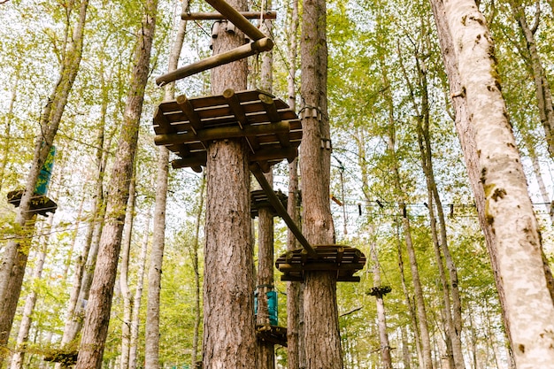 Parc d'escalade haut dans les arbres