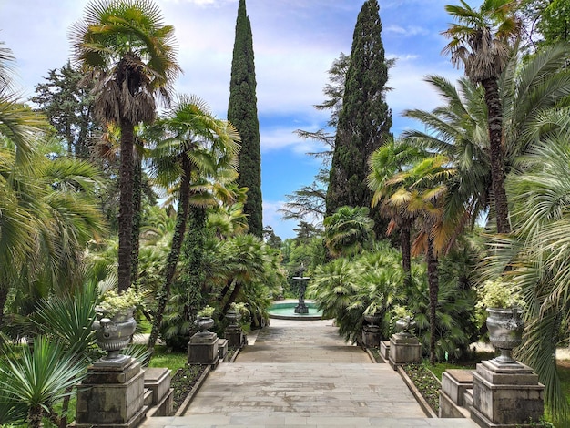 Parc avec escalier et arbres tropicaux et palmiers Destination de voyage à Sotchi Dendrarium en Russie