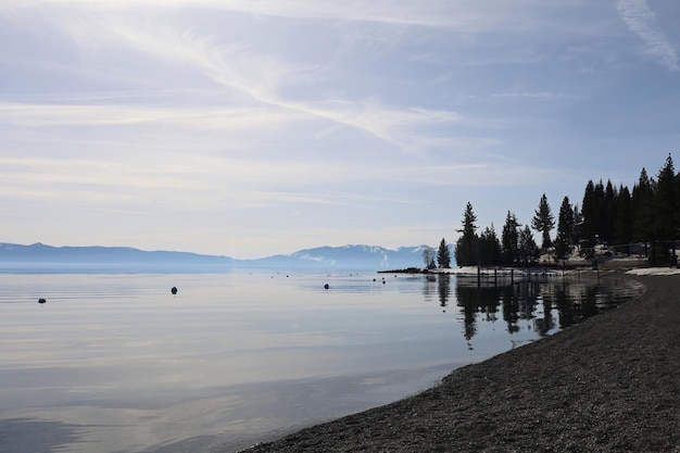 Parc d'état du lac Tahoe Sugar Pine