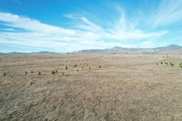 Parc d'état de San Simeon