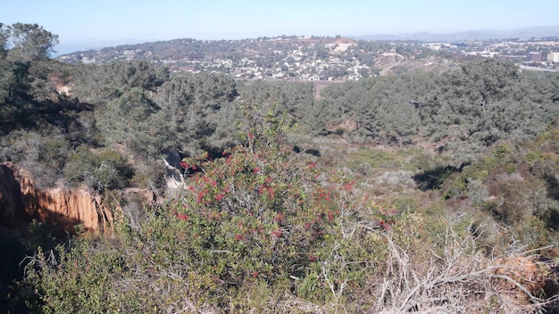 Photo parc d'état de torrey pines réserve naturelle trekking et sentiers randonnée californie