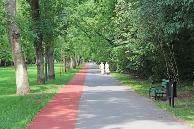 Parc d'été avec sentier et tapis roulant entre arbres verts paysage d'été avec parc de la ville