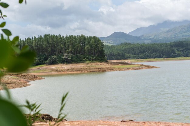 Parc forestier national de La Yeguada au Panama