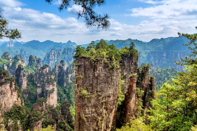 Parc forestier national de Zhangjiajie. De gigantesques montagnes de piliers de quartz s'élevant du canyon pendant la journée d'été ensoleillée. Hunan, Chine.