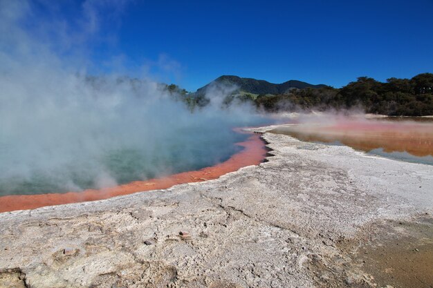 Parc géothermique de Wai-o-tapu, Rotorua, Nouvelle-Zélande