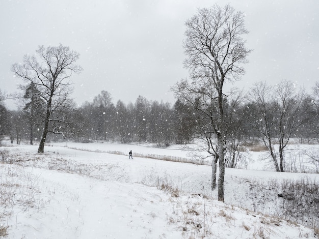 Parc d'hiver. Beau paysage de neige avec la figure d'un homme marchant dans le parc.