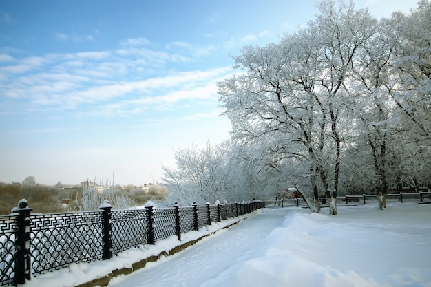 Parc d'hiver couvert de neige de clôture