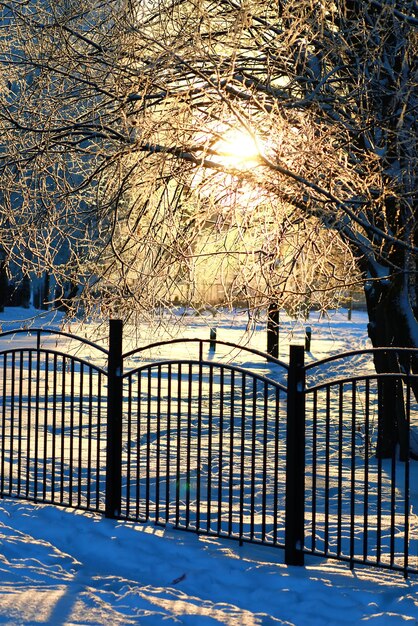 Parc d'hiver couvert de neige de clôture