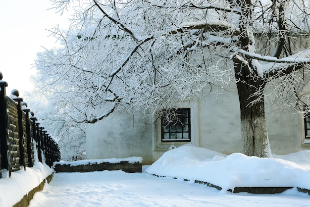 Parc d'hiver couvert de neige de clôture