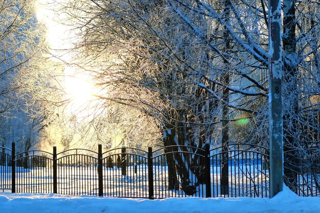 Parc d'hiver couvert de neige de clôture